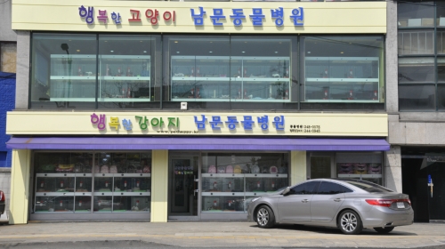 행복한강아지