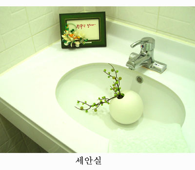 안명웅성형외과의원