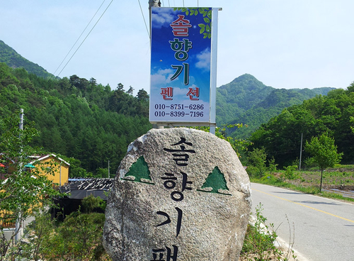솔향기펜션