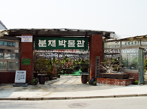 분재박물관