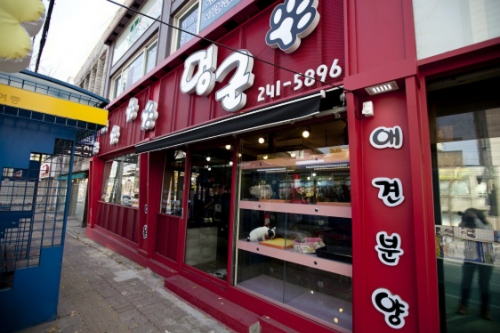 멍군애견