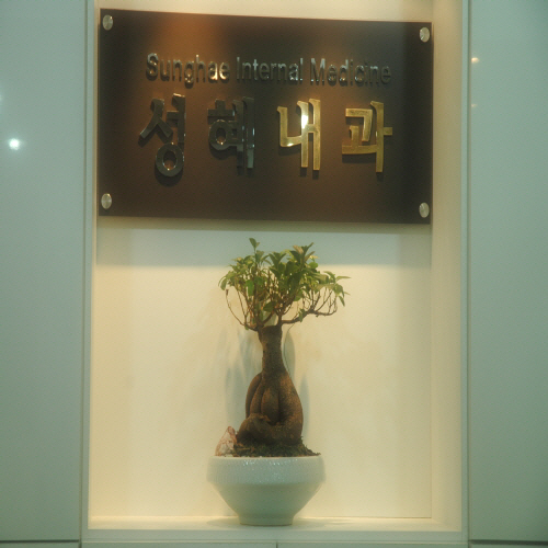 성혜내과의원