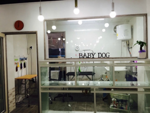 베이비독 대표 이미지