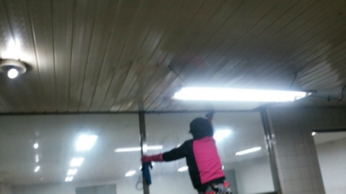 성헌종합건물관리
