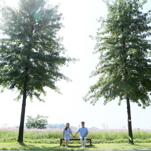 룩스냅 대표 이미지