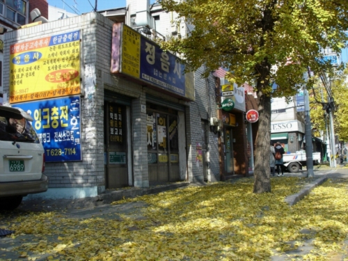논문의 집 정음사 내부 또는 관련 모습