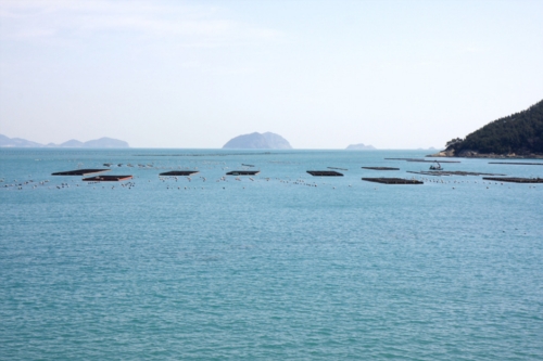 청산도 들꽃민박