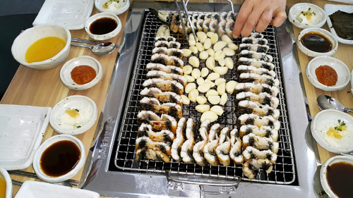 오학민물장어