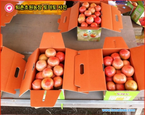 퇴촌초원농장