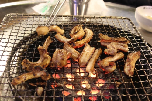 멍텅구리 꼼장어