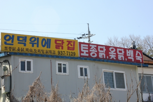 언덕위에토종닭집