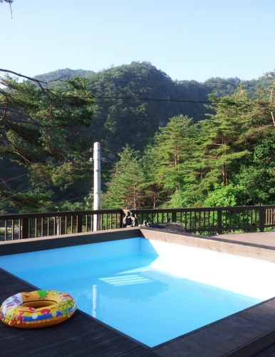 펜션수