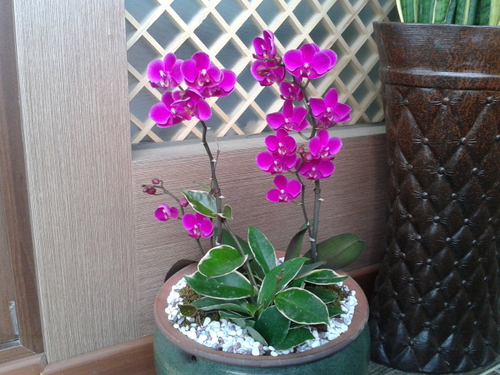 락빈칼국수 대표 이미지