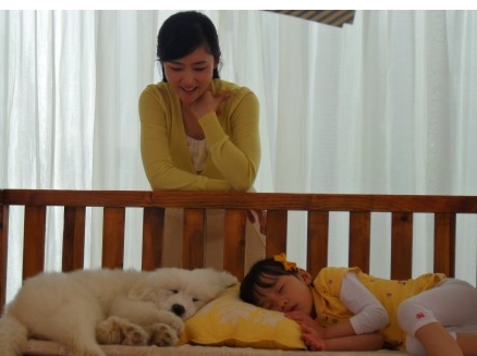 하남애견훈련소 대표 이미지