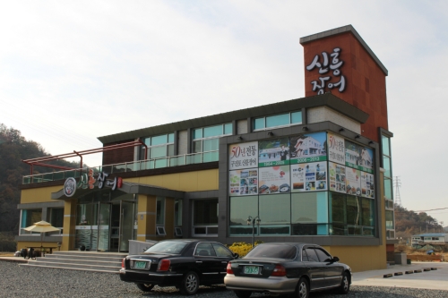신흥장어
