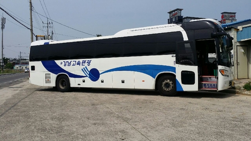 뉴강남여행사