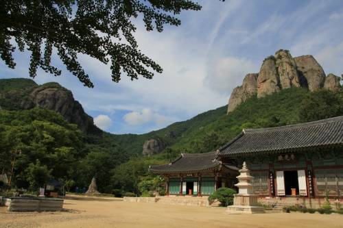영농조합법인 자연과사람