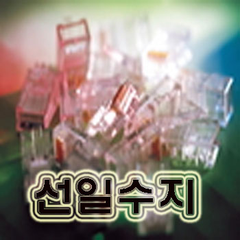 선일수지