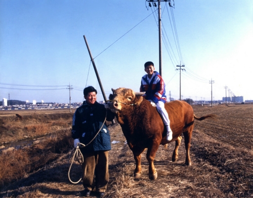 한우이야기