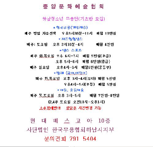 중앙문화예술협회