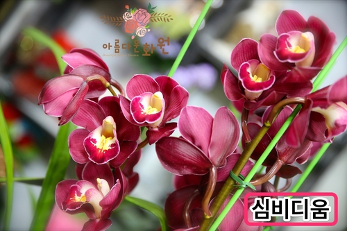 아름다운화원