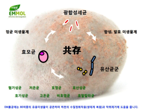 이엠몰