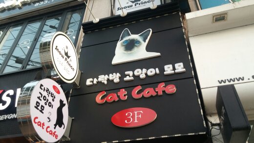 다락방모모