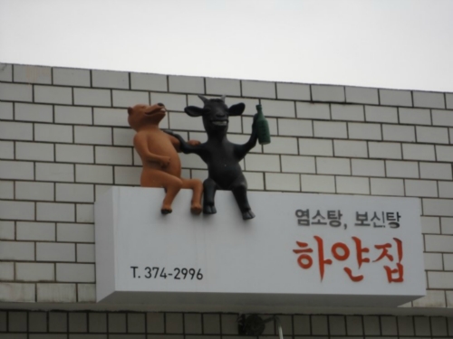 하얀집