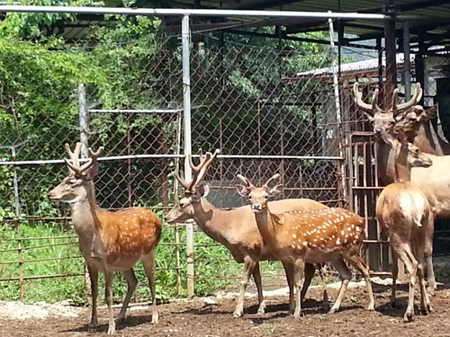 오케이목장가든