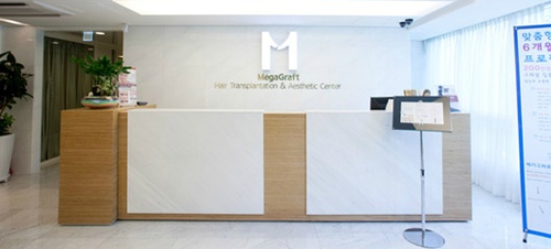 메가그라프트 대표 이미지