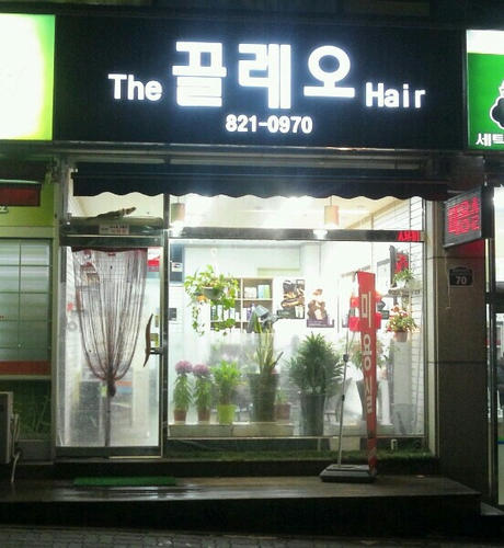 끌레오헤어