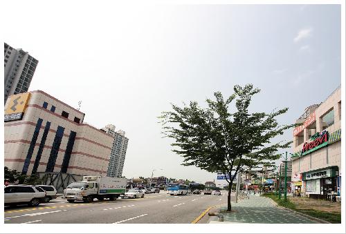 올리브동물병원 대표 이미지