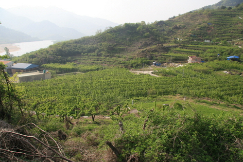 산들농원