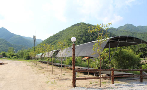 산아래캠핑장