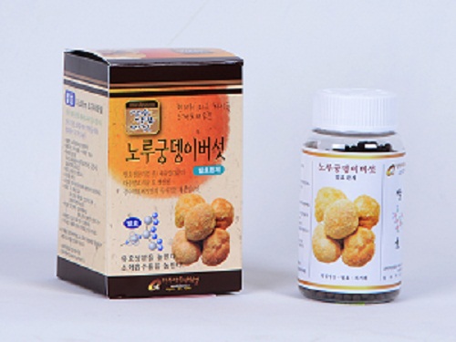 장수약용버섯