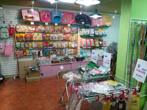 목욕하는 강아지 대표 이미지