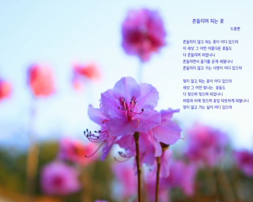 민들레하나한의원 내부 또는 관련 모습