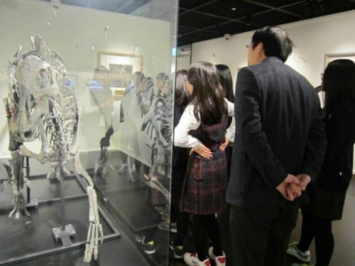 올드스토리뮤지엄