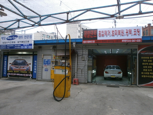 제일덴트칼라