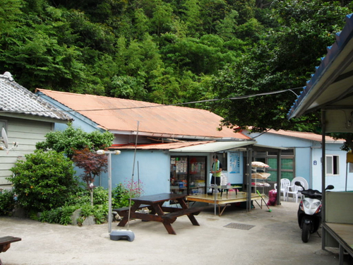 동박새민박