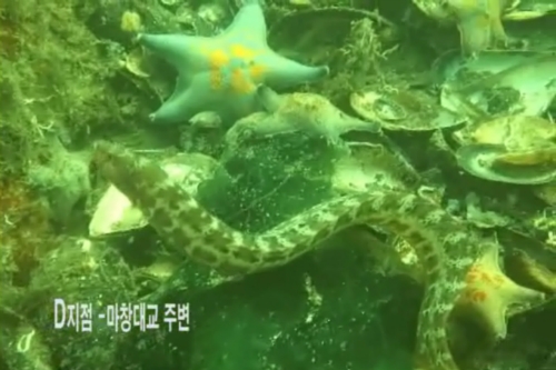 W&S자연환경평가연구소