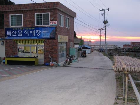 늘푸르니