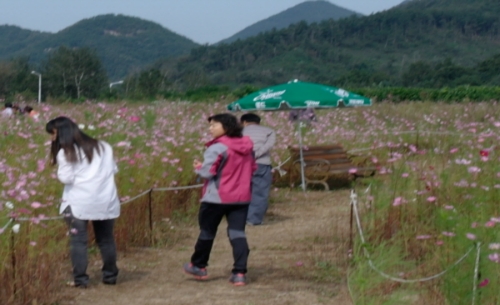 추풍령휴게소(서울방향) 대표 이미지