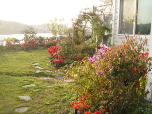 푸른호수