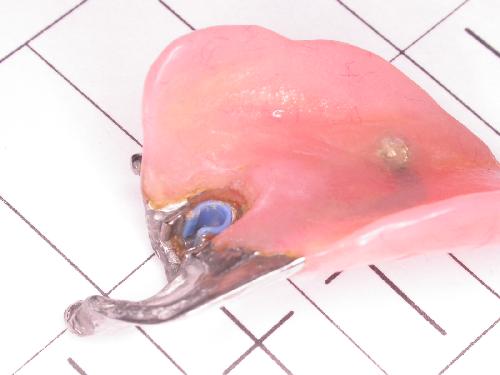 연세수치과의원 대표 이미지