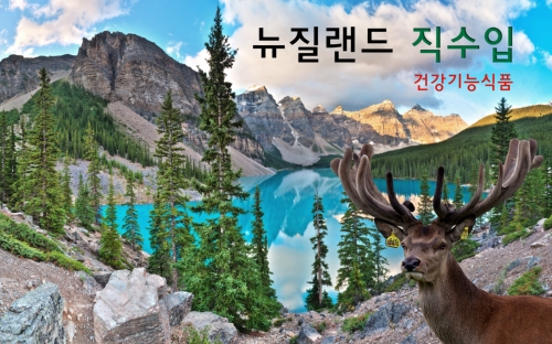 제이케이그린라이프