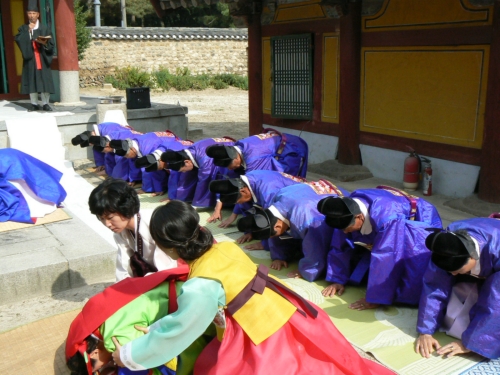 대풍관광여행사