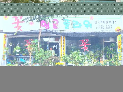 행운플라워