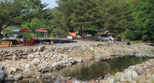 황금캠핑장