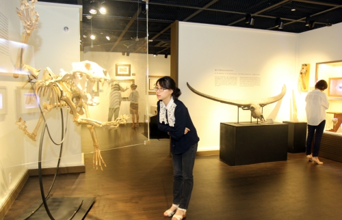 올드스토리뮤지엄